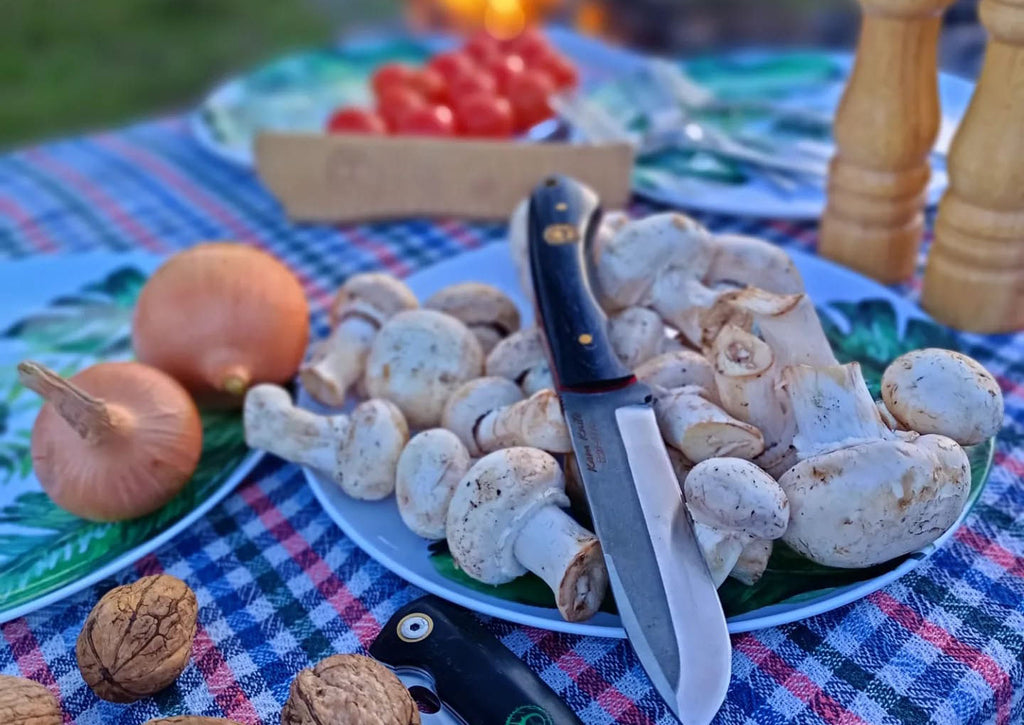 Kamp Bıçağı Satın Alma Rehberi: Kamp Bıçağı Nasıl Tercih Edilir?