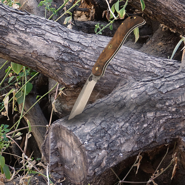 Doğa Tutkunlarına Özel: Büyük Boy Sırttan Kilitli Çakı Türk Kök Cevizi Koleksiyonu - TR99-N690